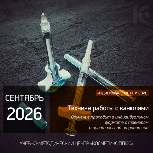 ТЕХНИКА РАБОТЫ С КАНЮЛЯМИ. Индивидуальное обучение ТЕХНИКА РАБОТЫ С КАНЮЛЯМИ. Индивидуальное обучение